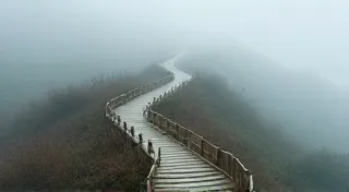 The Lens as a River: Guiding Perception Through Depth and Perspective